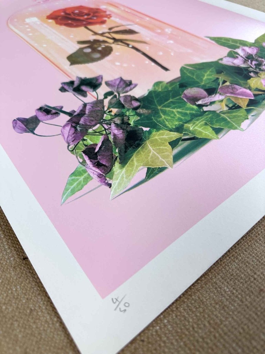 Multi-colour hand-pulled screenprint, pink and orange, rose under glass dome with ivy and flowers